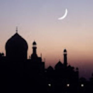 Meet your Posher, Mariya